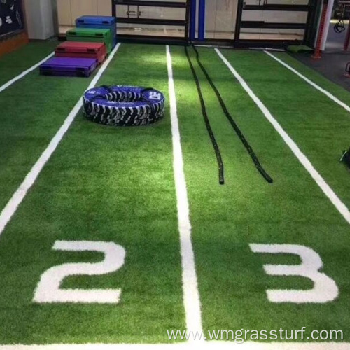 Fake Grass Gym New Design Gym Artificial Grass Synthetic Turf Manufactory